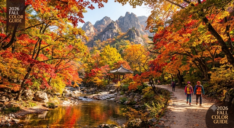 단풍놀이